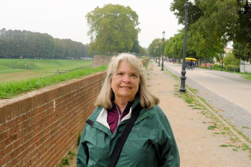 lucca susan on walls