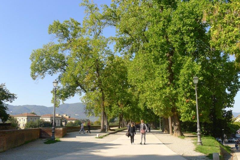 Lucca Wall scene