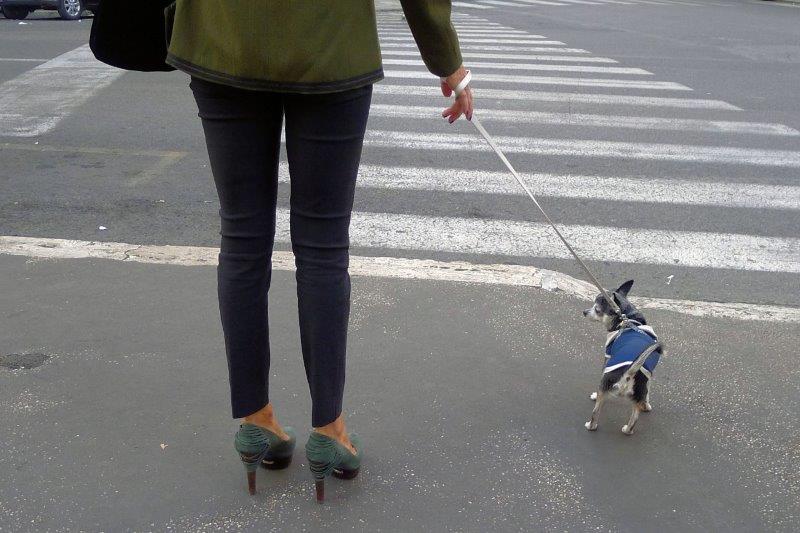  walking dog in heels