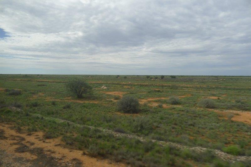 nullarbor plain green